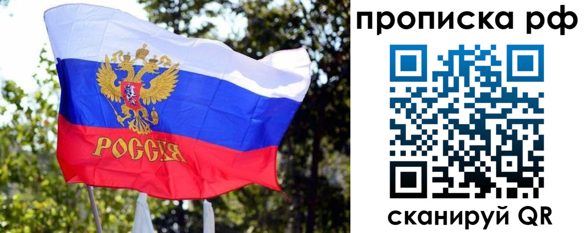 временная регистрация надежно в Сураже